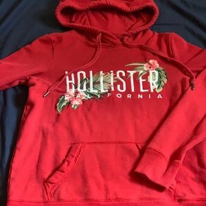 Hollister Sweater
